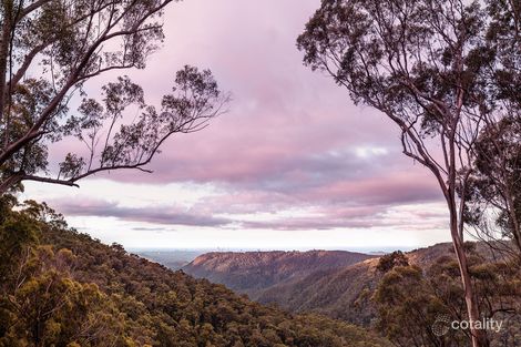 Property photo of 2209 Springbrook Road Springbrook QLD 4213