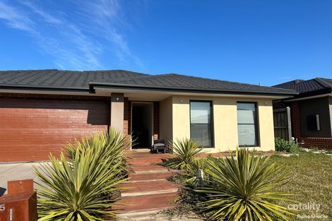 25 Lace Monitor Cct, Clyde North, VIC 3978