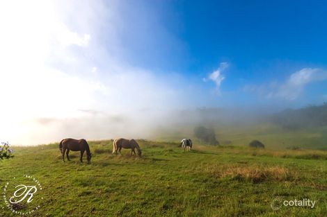 81 Kia Ora Hill Rd, Bowman Farm, NSW 2422