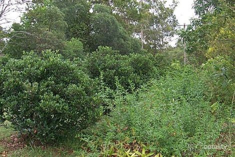 233 Fig Tree Pocket Rd, Fig Tree Pocket, QLD 4069