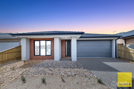 19 Bulbine St, Tarneit, VIC 3029