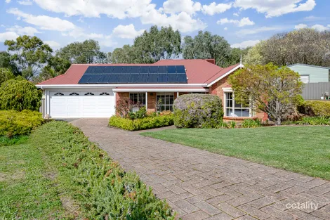 Property photo of 11 Bendigo Close Trott Park SA 5158