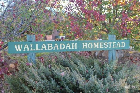 428 Goorambat-Thoona Rd, Goorambat, VIC 3725