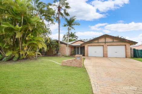 Property photo of 11 Jingellic Drive Buderim QLD 4556