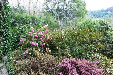 Property photo of 6 Ramsay Court The Patch VIC 3792