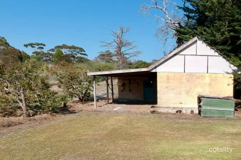 Property photo of 177 Williams Road Millicent SA 5280