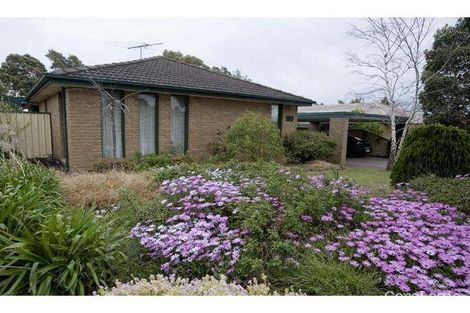Property photo of 100 James Cook Drive Endeavour Hills VIC 3802