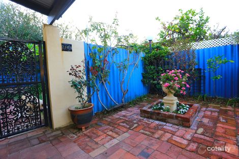 Property photo of 11/4 Tennivale Place North Perth WA 6006