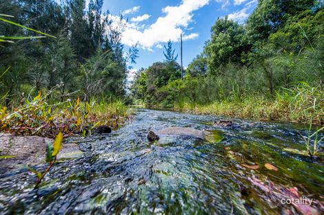 Property photo of 2917 Armidale Road Blaxlands Creek NSW 2460