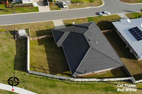 Property photo of 31 Beilby Crescent Pimpama QLD 4209