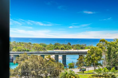Property photo of 39 Thrower Drive Currumbin QLD 4223