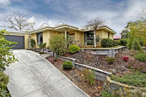 Property photo of 7 Longacres Road Yallambie VIC 3085