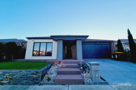 11 Bluebell Dr, Craigieburn, VIC 3064