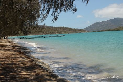 Property photo of 44 Trochus Street Dingo Beach QLD 4800