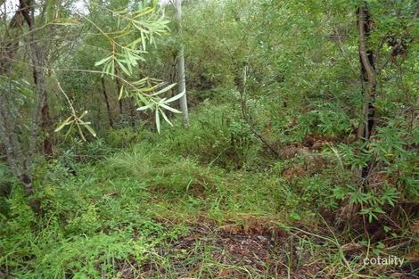 12 Dryandra Pl, Linden, NSW 2778