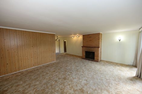 Property photo of 37 Wadley Street Macgregor QLD 4109