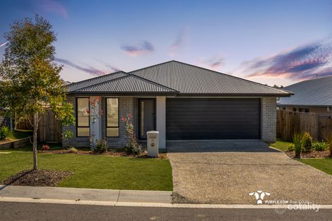 49 Lunar Cct, Spring Mountain, QLD 4300