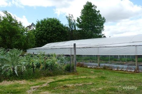 Property photo of 184 Patersonia Road Nunamara TAS 7259