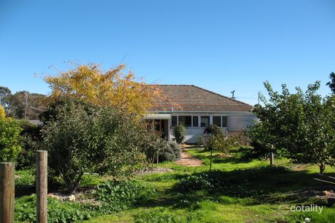 Property photo of 37 Honner Street Kojonup WA 6395