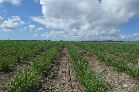 8 Bruce Hwy, Mourilyan, QLD 4858