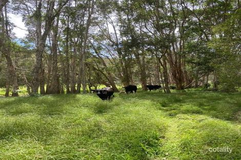 98 Fraser Dr, Tweed Heads South, NSW 2486