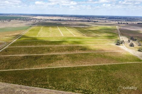 Property photo of 2419 Balpool Road Niemur NSW 2733