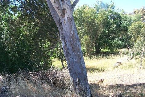 143 Whatley Cres, Bayswater, WA 6053