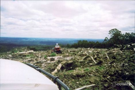 Property photo of 30 Morris Track Lavers Hill VIC 3238