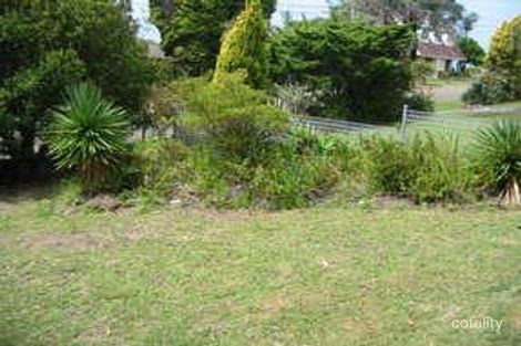 Property photo of 14 Eltham Street Beacon Hill NSW 2100