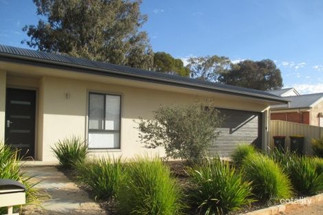 Property photo of 21 Schick Street Loxton SA 5333