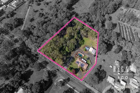 Property photo of 179 McPhail Road Narangba QLD 4504