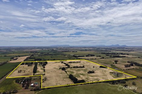 440 Hamilton-Chatsworth Rd, Tarrington, VIC 3301
