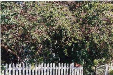 27 Harris Rd, Underwood, QLD 4119