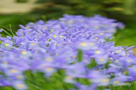 Property photo of 76 Wingrove Street Alphington VIC 3078