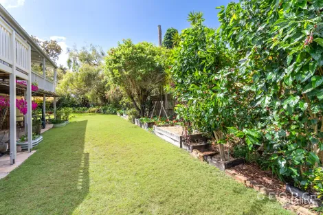 Property photo of 50 Laguna Street Boreen Point QLD 4565