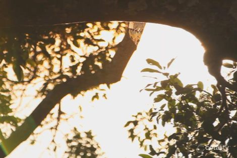 Lot 244 Beau Pde, Bonogin, QLD 4213