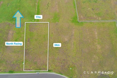 Property photo of 63 Petaltail Street Chisholm NSW 2322