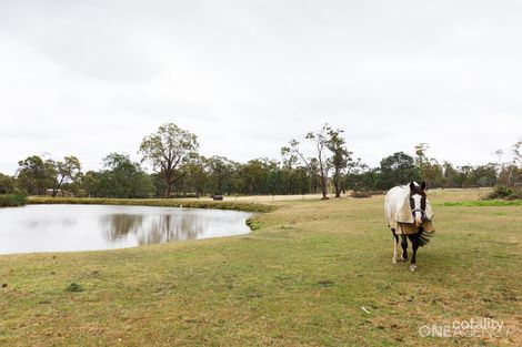 Property photo of 34 Devon Hills Road Devon Hills TAS 7300