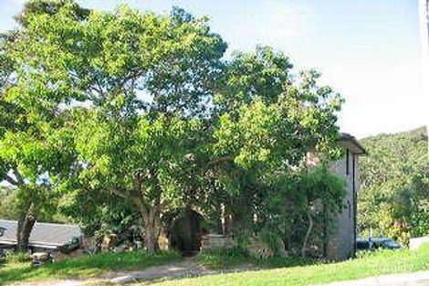 54 Alexander St, Collaroy, NSW 2097