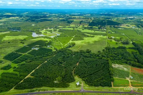 Property photo of 323 Alcorn Road Knockrow NSW 2479