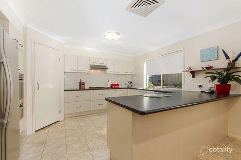 Property photo of 17 Soward Court Pacific Pines QLD 4211