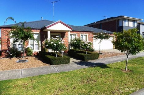 1/20 Hewat Dr, Highton, VIC 3216