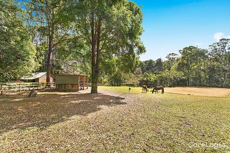 Property photo of 378-386 Diddillibah Road Diddillibah QLD 4559