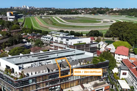 802a/264 Anzac Pde, Kensington, NSW 2033