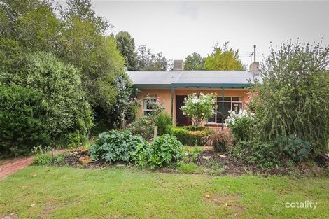 20 Corella St, Nuriootpa, SA 5355