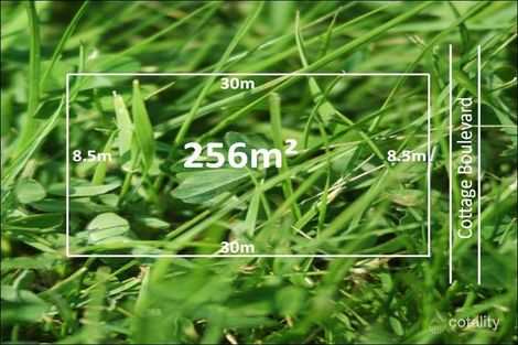 Property photo of 19 Cottage Boulevard Epping VIC 3076