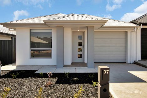 Property photo of 37 Maiolo Crescent Blakeview SA 5114
