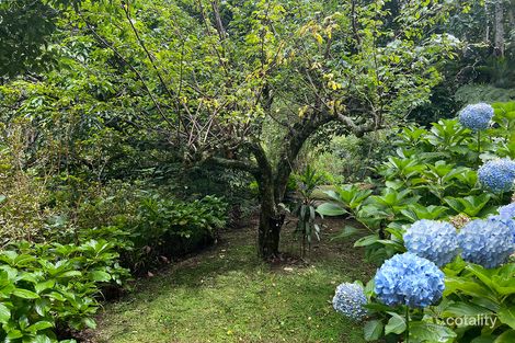 Property photo of 228 Newton Drive Nimbin NSW 2480