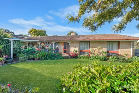 1 Finch Ct, Modbury Heights, SA 5092