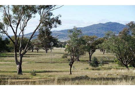 249 Borah Creek Rd, Quirindi, NSW 2343